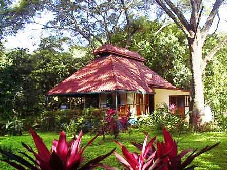 Tropical Villa in Cabuya Beach Santa Teresa
